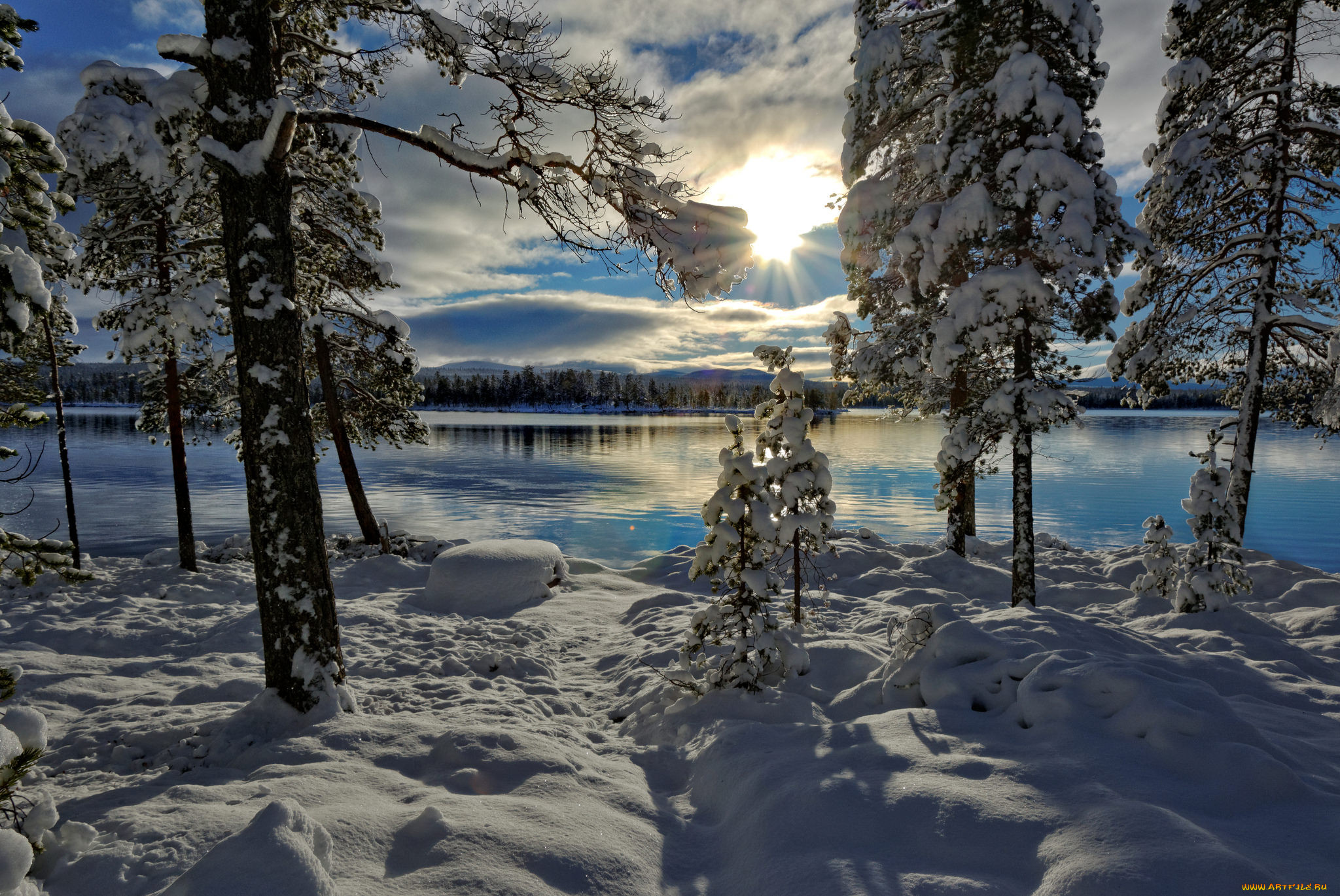 Видео природа зима. Зимняя природа. Зима просторы. Швеция природа зимой. Родная природа зима.